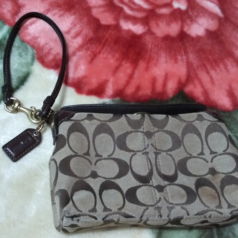 Brown clutch purse